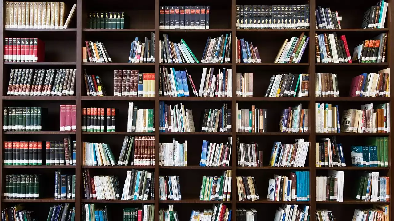 libreria ad intera parete con libri di varie tematiche